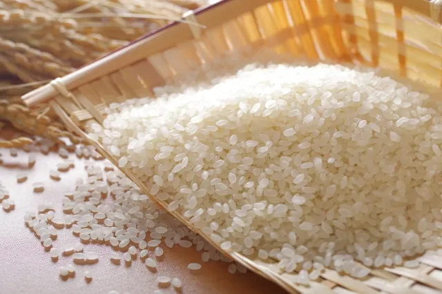 Toyama Koshihikari Rice